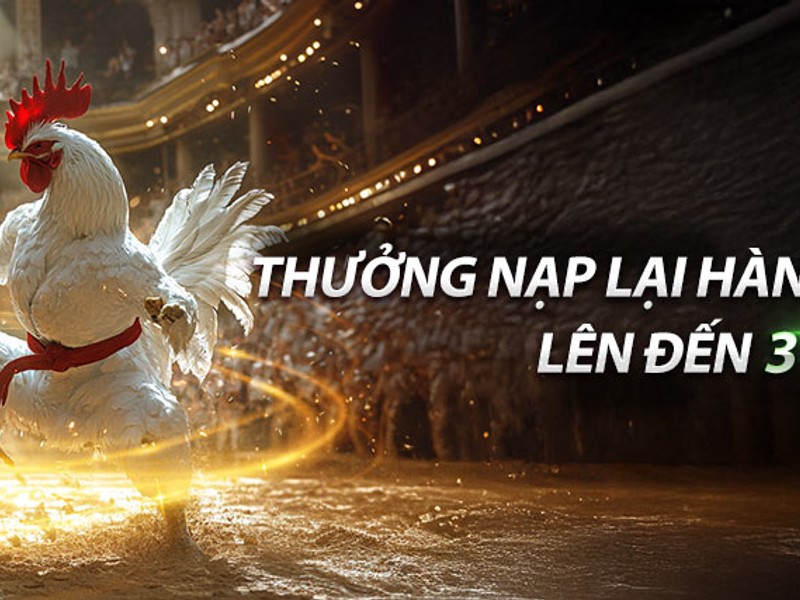 Hình ảnh hoàn trả hàng ngày